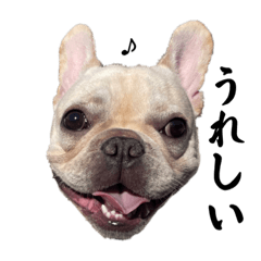 [LINEスタンプ] おこめの日常スタンプ2(シンプルver)