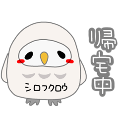 [LINEスタンプ] ちゅんちゅん日常会話