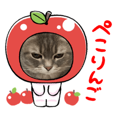 [LINEスタンプ] うりっちandきなっち①