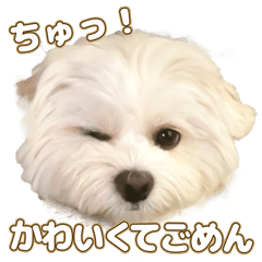 [LINEスタンプ] おとこやま2