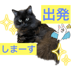 [LINEスタンプ] 黒猫 ルナ院長52にゃんめ