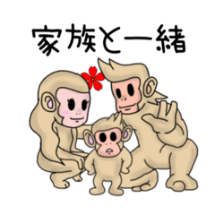 [LINEスタンプ] 大和猿戦国物語 第8弾 茶毛猿太郎