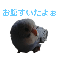 [LINEスタンプ] 鳥郵票2