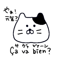 [LINEスタンプ] ちょっとフランス語が喋れるゆるネコ