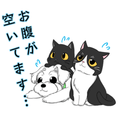 [LINEスタンプ] いぬねこ3姉妹