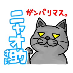 [LINEスタンプ] ニャオ助の日常