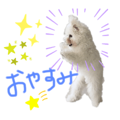 [LINEスタンプ] ノエルさん①