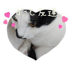 [LINEスタンプ] るなるか 挨拶とか