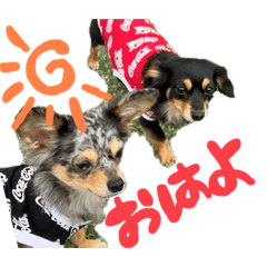 [LINEスタンプ] るぅ と うる