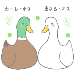 [LINEスタンプ] あいさつできるカモ！