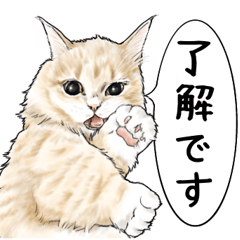 [LINEスタンプ] 挨拶編 猫にまみれたがりのスタンプ