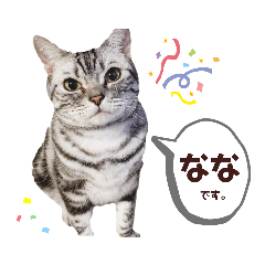 [LINEスタンプ] アメショのなな 1