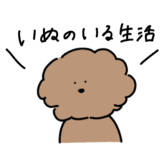 [LINEスタンプ] いぬのいる生活（トイプードル）