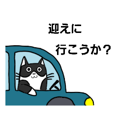 [LINEスタンプ] はちわれ猫モナさん☆家族連絡スタンプ2