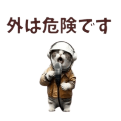 [LINEスタンプ] 猫による大雨台風リポート