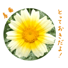 [LINEスタンプ] Spring in my garden〜Message