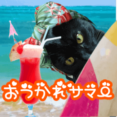 [LINEスタンプ] 動く黒猫 ハルとロビンの夏