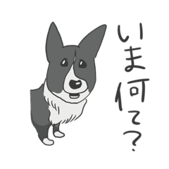 [LINEスタンプ] コーギー・カーディガンの犬さん