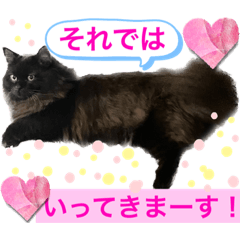 [LINEスタンプ] 黒猫 ルナ院長56にゃんめ