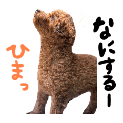 [LINEスタンプ] ブランのつぶやき