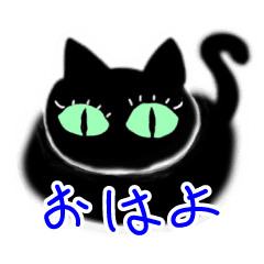 [LINEスタンプ] 【動く】めっかわくろねこスタンプ