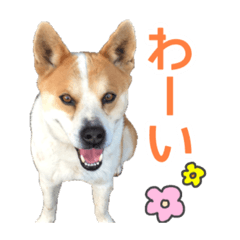 [LINEスタンプ] まるスタンプ(かわいい)