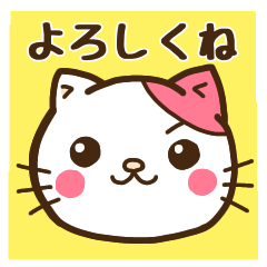 [LINEスタンプ] 靴下にゃんこさん