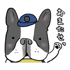 [LINEスタンプ] BUHI♡フレンチブルドッグ・パイド