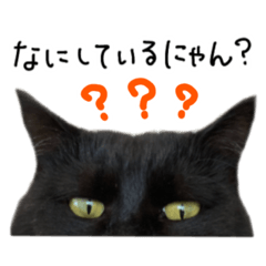 [LINEスタンプ] くりかのこのびのび〜4