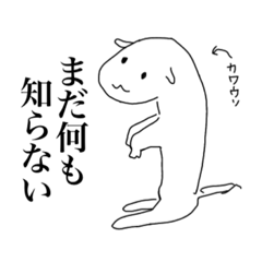 [LINEスタンプ] よいこの。