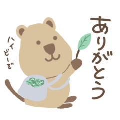 [LINEスタンプ] かわいい♡クオッカワラビーくん(日常会話)