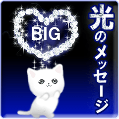 [LINEスタンプ] ネコ☆光のメッセージ☆BIGスタンプの画像（メイン）