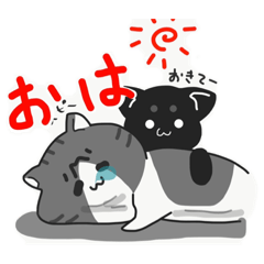 [LINEスタンプ] もちもち餅もちねこのつきをくん