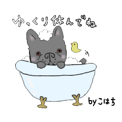 [LINEスタンプ] フレンチブルドッグ．こはち♡