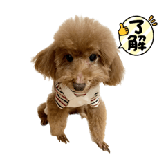 [LINEスタンプ] 我が家の大臣4