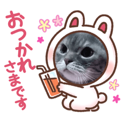 [LINEスタンプ] 鍵しっぽ☆ひかりちゃん