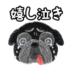 [LINEスタンプ] 黒パグ16面相