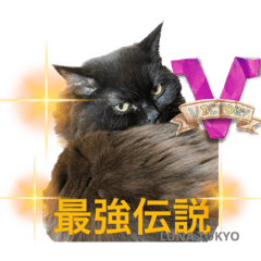 [LINEスタンプ] 黒猫 ルナ院長58にゃんめの画像（メイン）