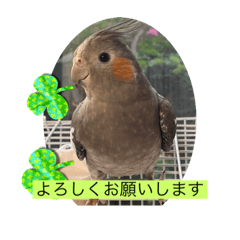 [LINEスタンプ] ぽぽの天国言葉
