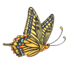 [LINEスタンプ] 蝶と花2の画像（メイン）
