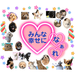 [LINEスタンプ] 保護犬保護猫活動を応援する会 大切な友達