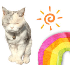 [LINEスタンプ] 三毛猫ハリーちゃんの感謝のLast STAMP