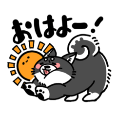 [LINEスタンプ] 柴犬（仮）黒ver