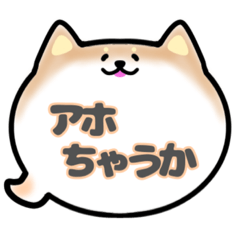 [LINEスタンプ] 柴犬吹き出しスタンプ大阪弁通常版001