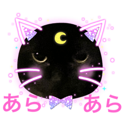 [LINEスタンプ] 黒猫 ルナ院長60にゃんめ