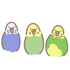 [LINEスタンプ] セキセイインコ ほめほめスタンプ