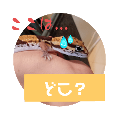 [LINEスタンプ] 小動物はとても可愛い！