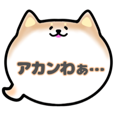 [LINEスタンプ] 柴犬吹き出しスタンプ大阪弁女性版001