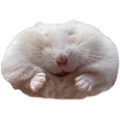 [LINEスタンプ] のびまろでち。