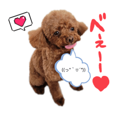 [LINEスタンプ] 犬のつぶやきぃ